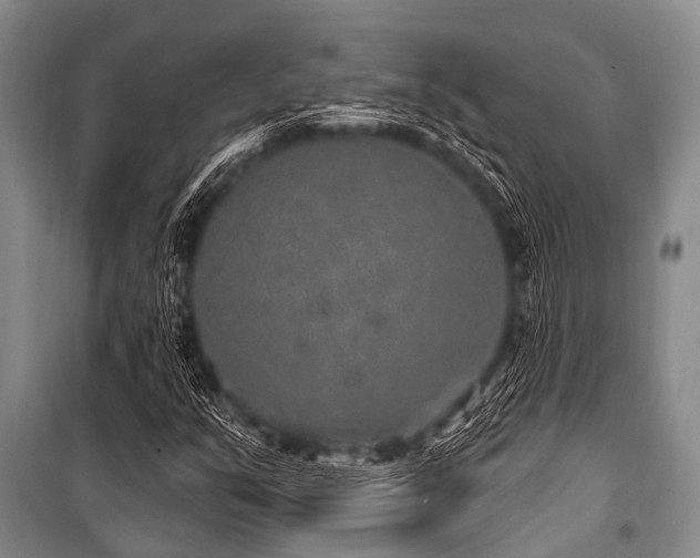 X0000101151351200806270933