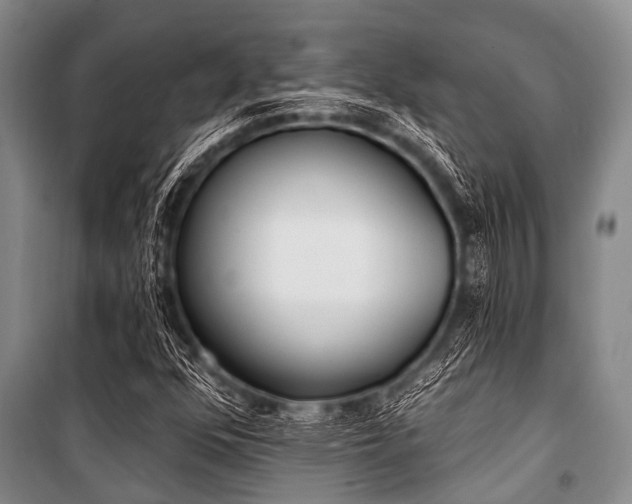 X0000101151352200806270933