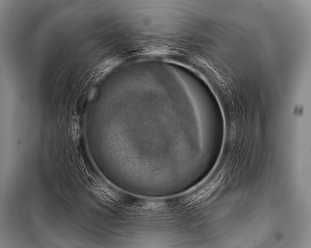 X0000101151353200806270933
