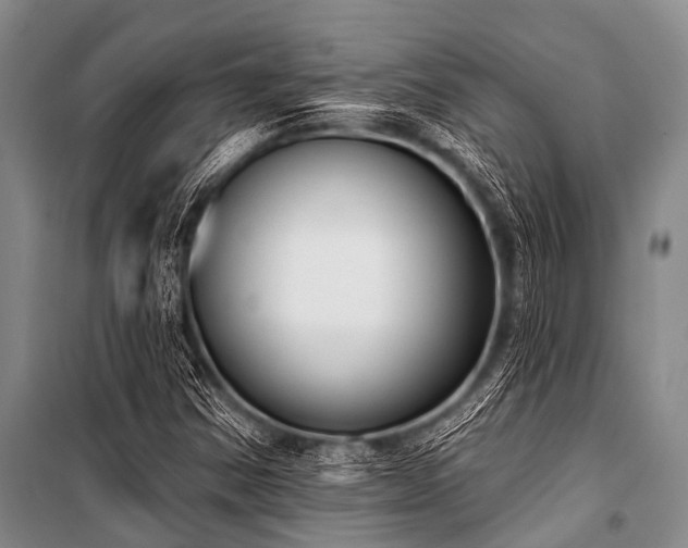 X0000101151354200806270933