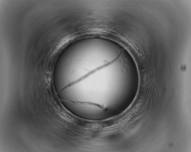 X0000101151355200806270933