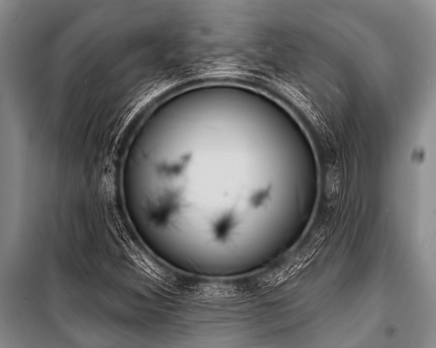 X0000101151356200806270933