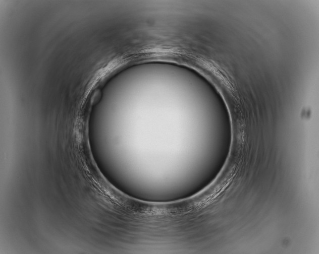 X0000101151357200806270933