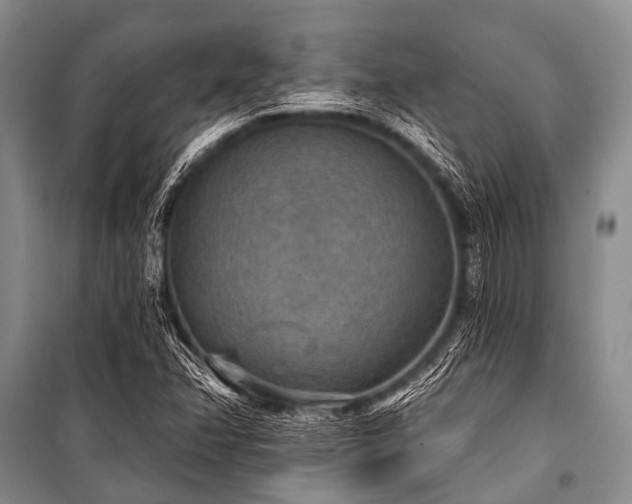 X0000101151358200806270933
