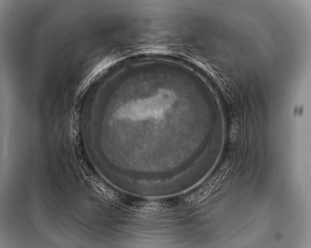 X0000101151359200806270933