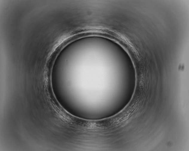 X0000101151360200806270933