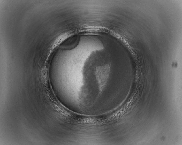 X0000101151362200806270933