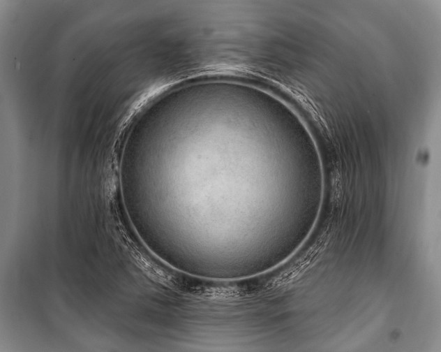 X0000101151363200806270933