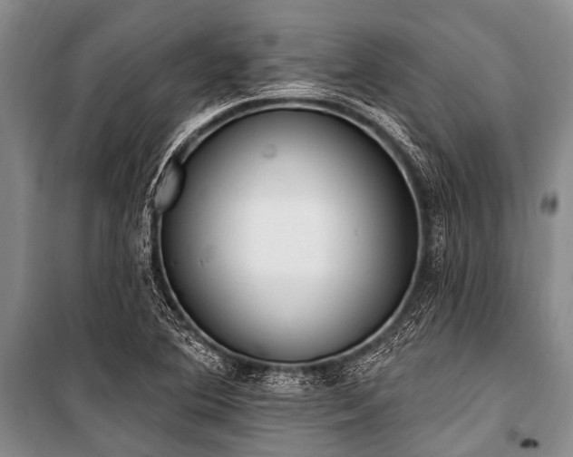 X0000101151364200806270933