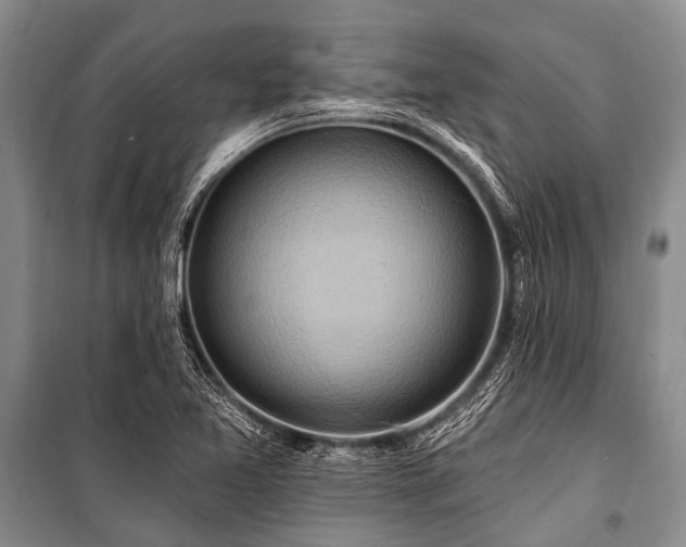 X0000101151365200806270933