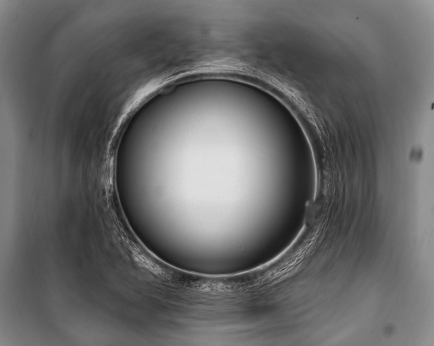 X0000101151366200806270933