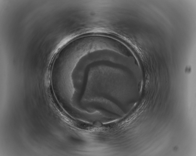 X0000101151367200806270933