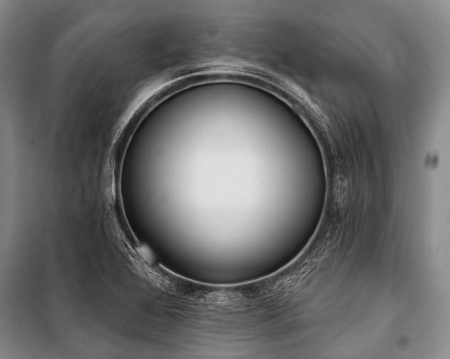 X0000101151368200806270933