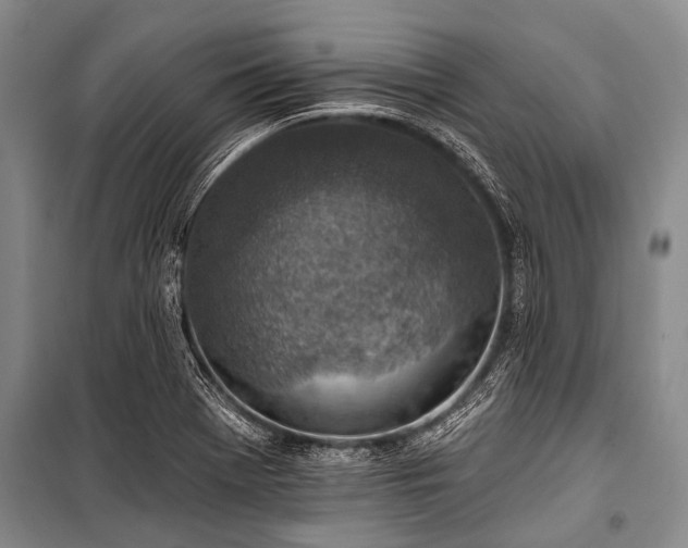 X0000101151369200806270933