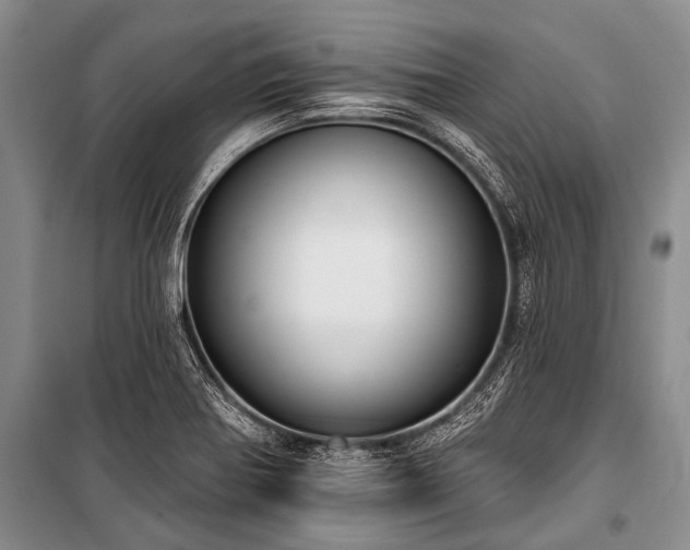 X0000101151370200806270933