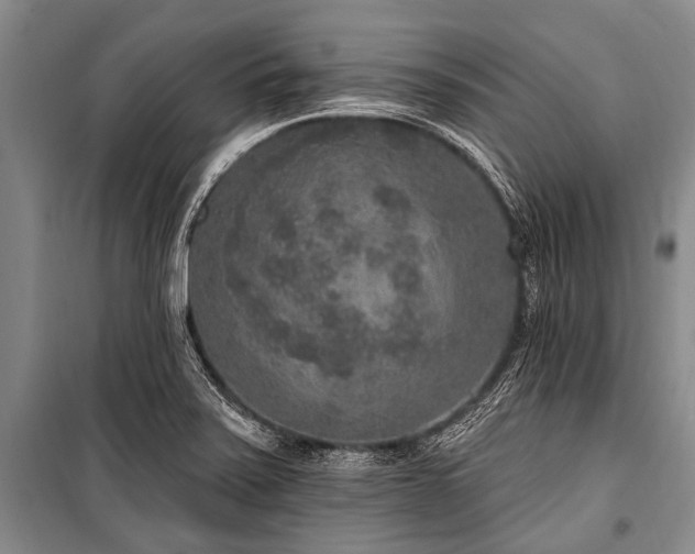 X0000101151371200806270933