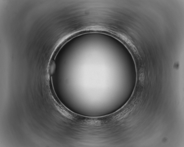 X0000101151372200806270933