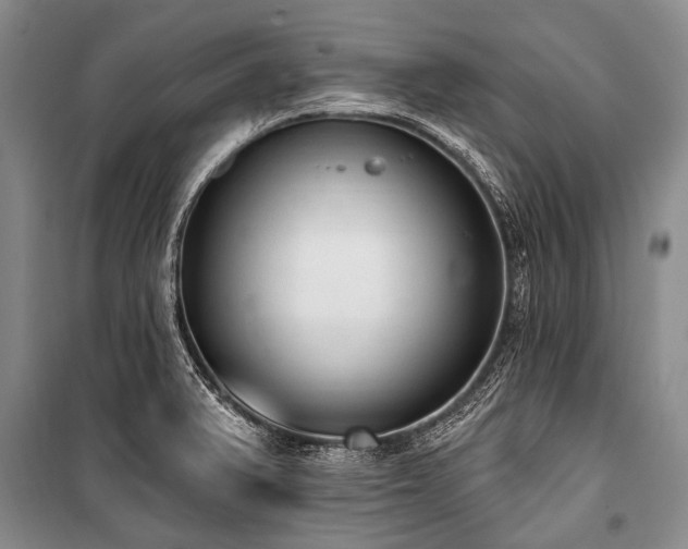 X0000101151375200806270933