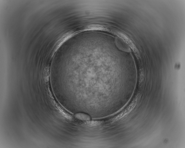 X0000101151377200806270933