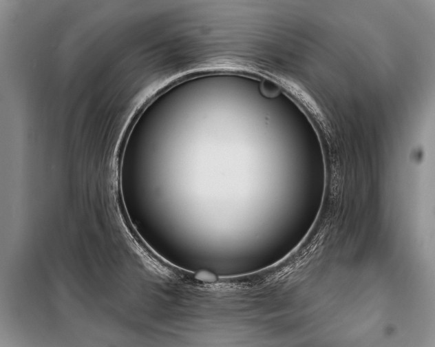 X0000101151380200806270933