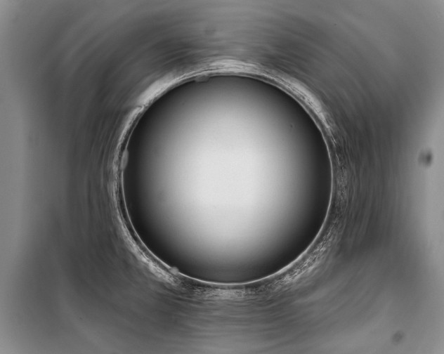 X0000101151381200806270933