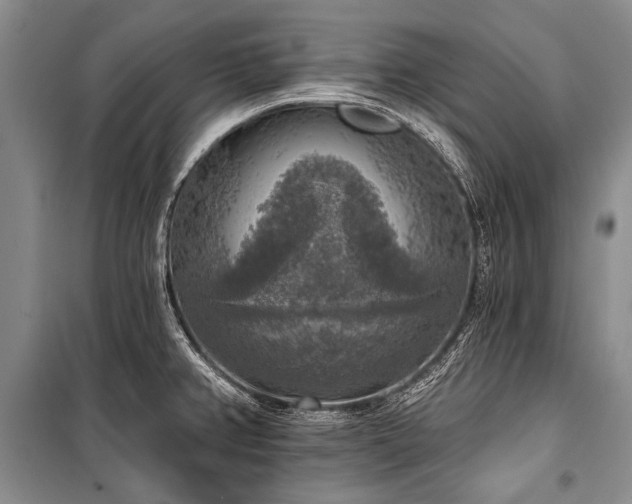 X0000101151382200806270933