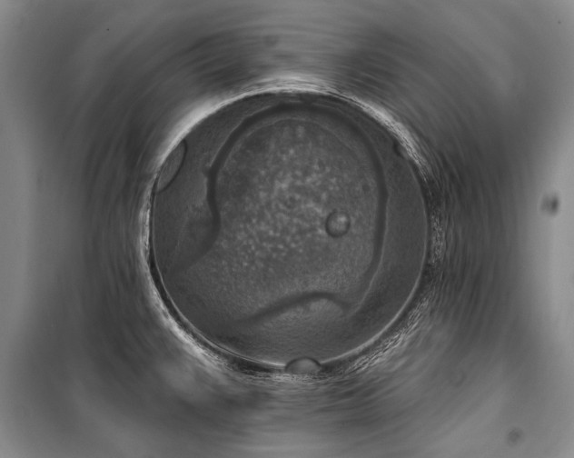 X0000101151383200806270933