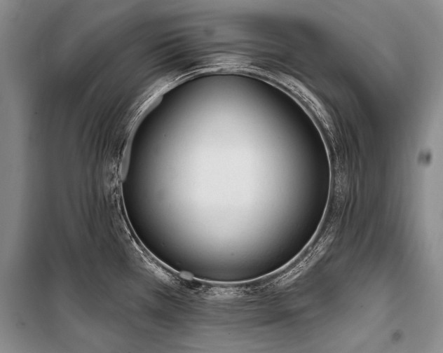 X0000101151385200806270933