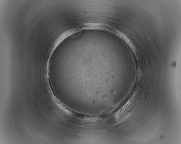 X0000101151386200806270933