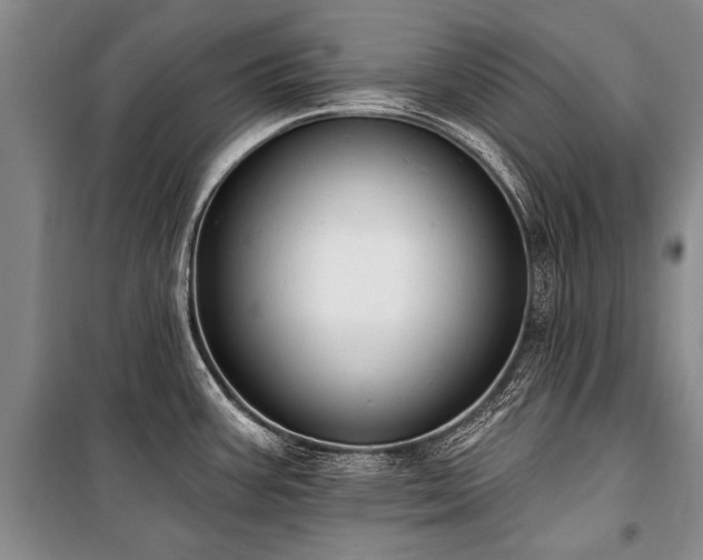 X0000101151387200806270933