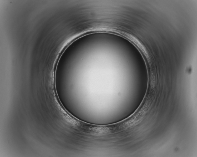 X0000101151388200806270933