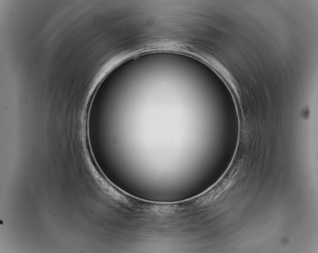 X0000101151389200806270933