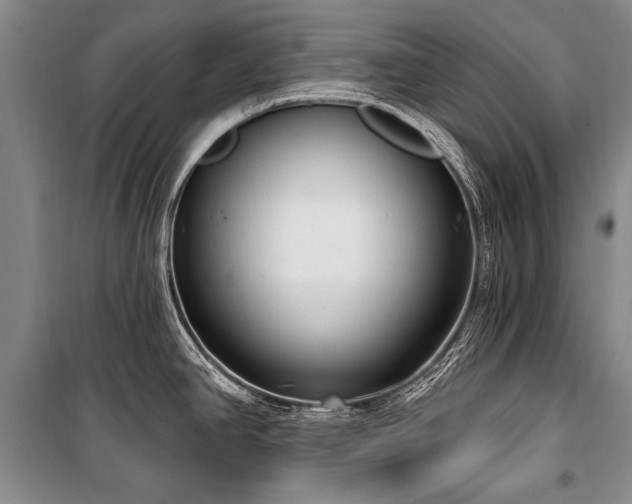 X0000101151390200806270933