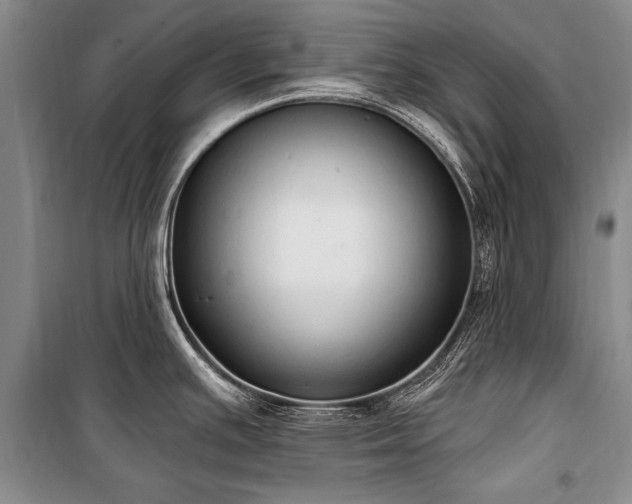 X0000101151391200806270933