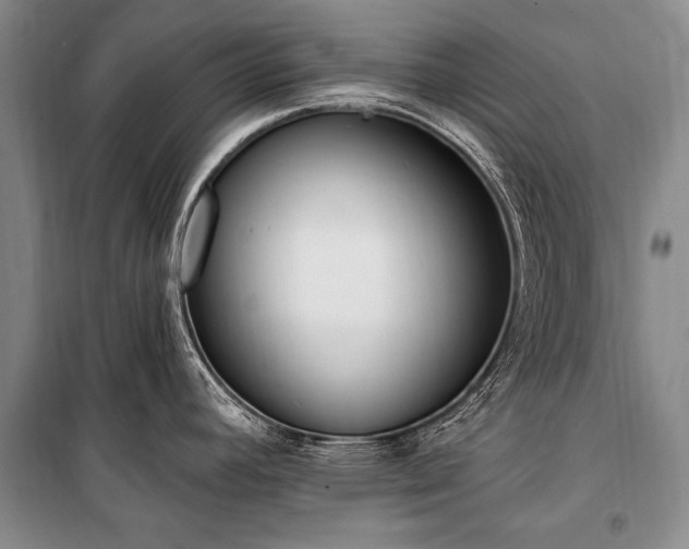 X0000101151392200806270933