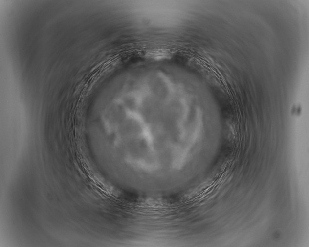 X0000101151393200806270932