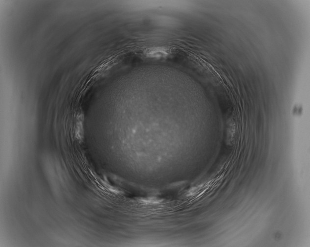 X0000101151394200806270932