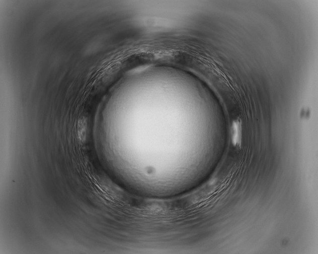 X0000101151395200806270932
