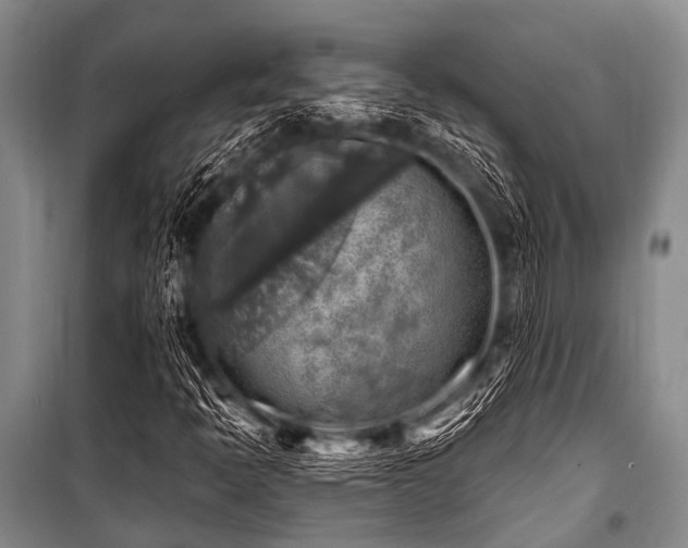 X0000101151397200806270932