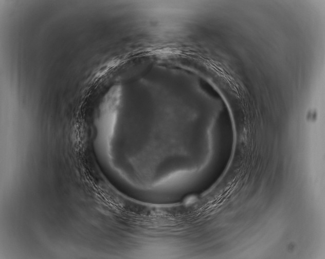 X0000101151398200806270932