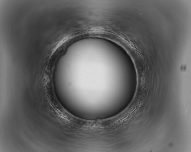 X0000101151400200806270932