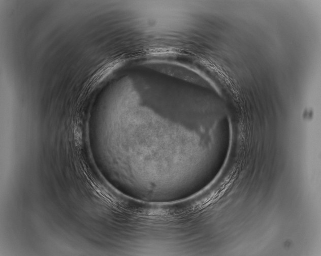 X0000101151401200806270932