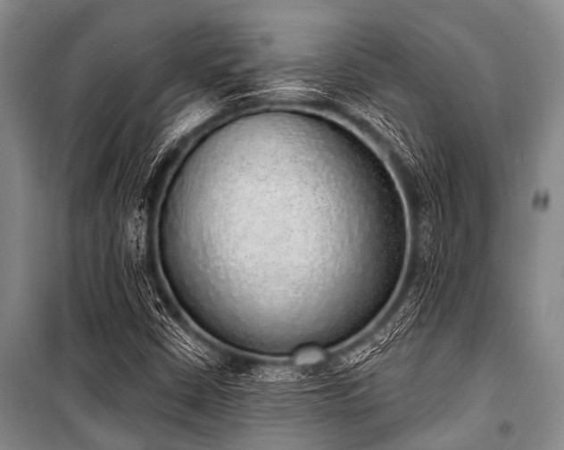 X0000101151402200806270932