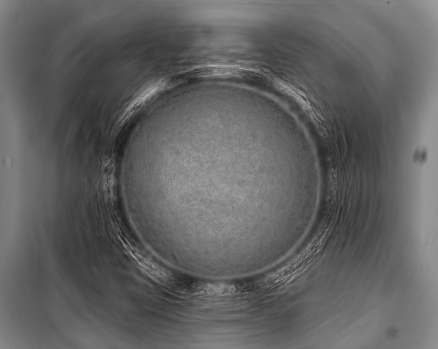 X0000101151403200806270932