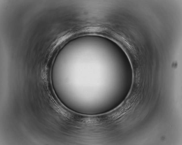 X0000101151404200806270932