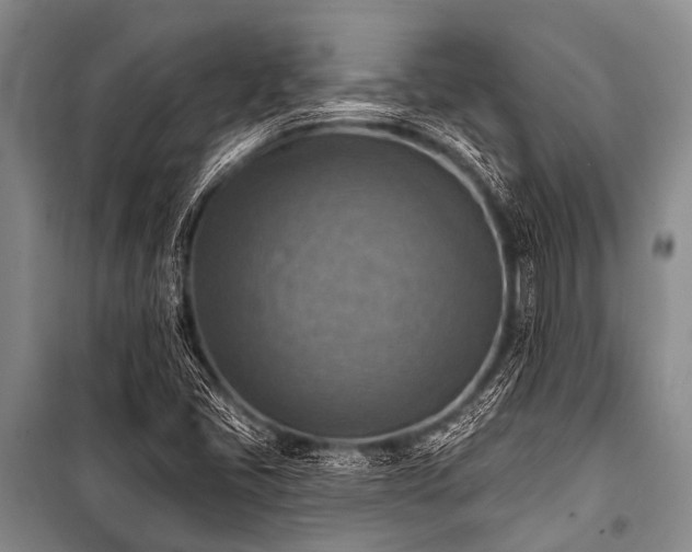 X0000101151405200806270932
