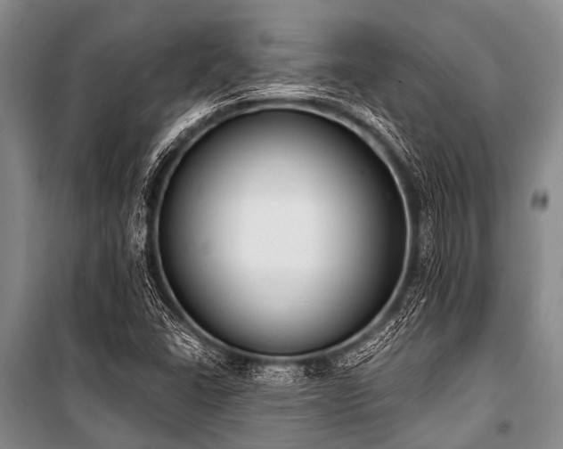 X0000101151406200806270932