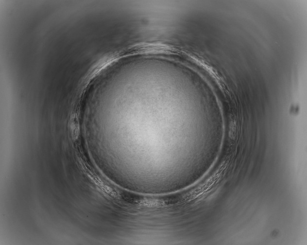 X0000101151407200806270932