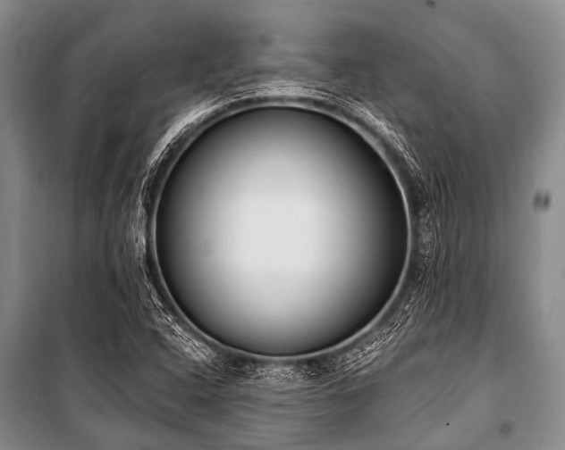 X0000101151408200806270932