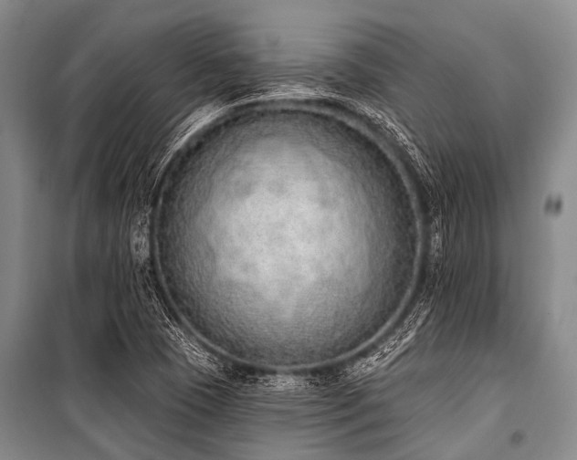 X0000101151409200806270932